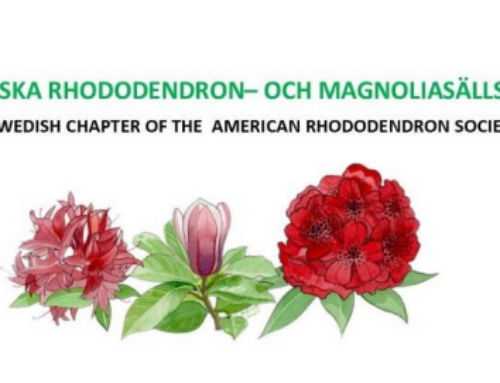 Inbjudan från Sydsvenska Rhododendron och Magnoliasällskapet